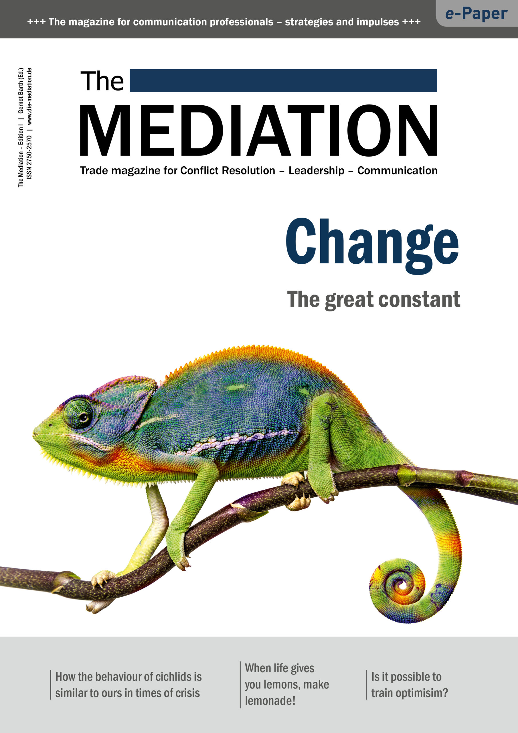 Die Mediation bild von steinbeis